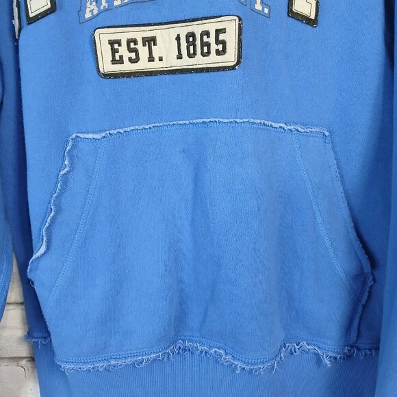 THR SQUARE BLUE KENTUCKY WILDCAT ATHLETIC DEPT UNISEX HOODIE, SIZE SMALL - Picture 7 of 8